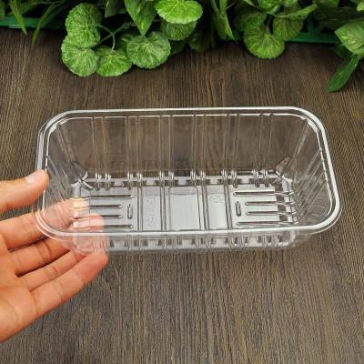 Disposable Plastic Freezing Food Packing Tray